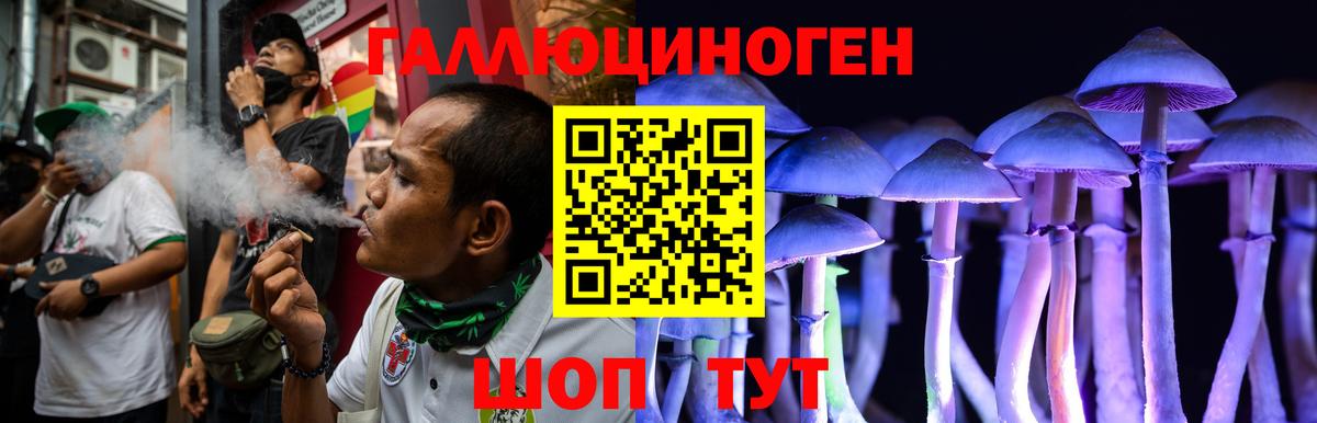 Черногорск  Галлюциногенные грибы Cubensis  Вход с VPN  Галлюциногенные грибы GOLDEN TEACHER 